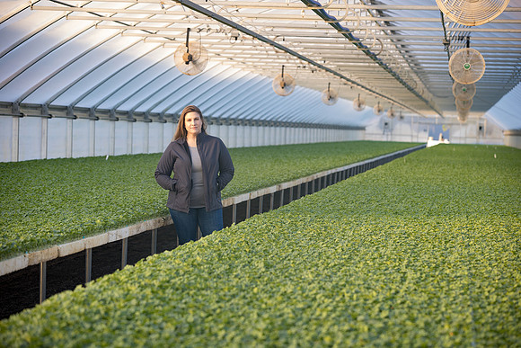 Seminis2022_FowlerPlant_4882