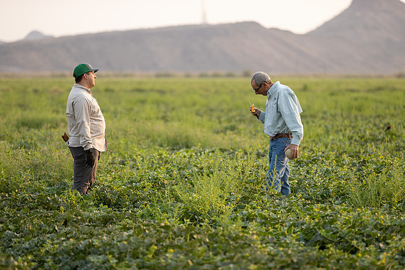 Seminis2021_AZ_1271