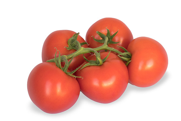 Tomatoes_DR7962_0011-Edit