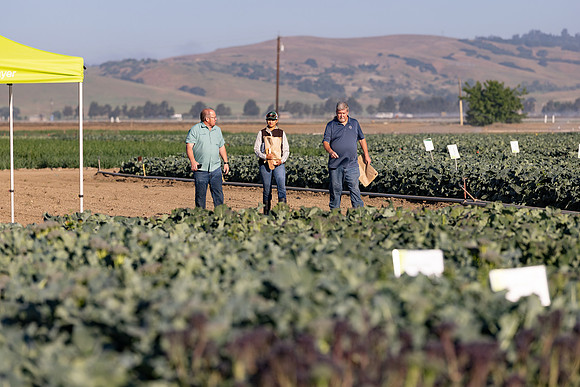 Seminis_SJB_FieldDay2025_368