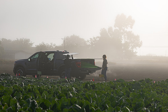 Seminis_SJB_FieldDay2025_49