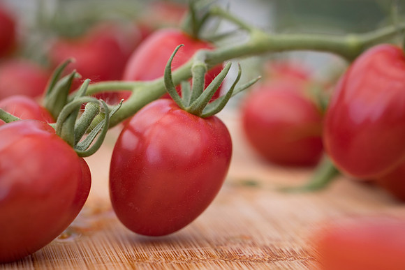 Tomato_Devoured_181