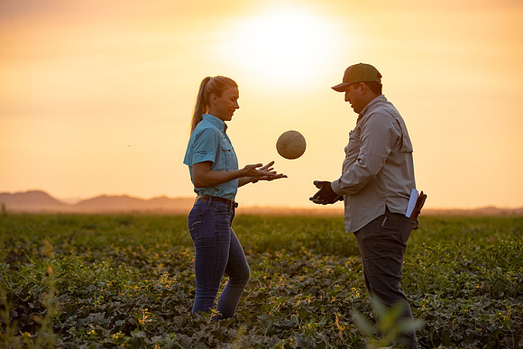 Seminis2021_AZ_621