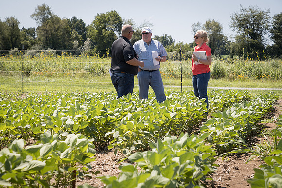 NL_Soybeans_072319_Carbondale_19