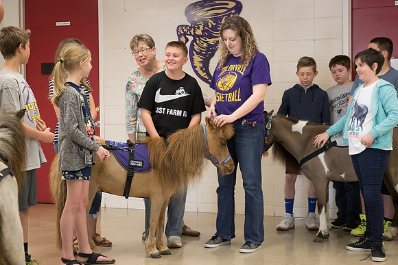 AmericasFarmers_HeartlandMiniHorses_496
