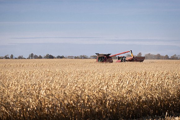 NL_Corn_Harvest_2019_c_152