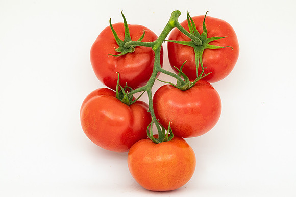 Tomatoes_DRTH1053_47
