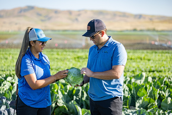 Seminis_SJB_FieldDay2025_640