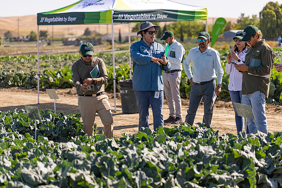 Seminis_SJB_FieldDay2025_1353