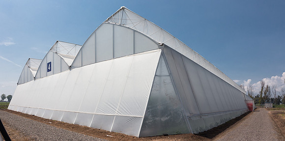 Campo_Agropecaurio_MX_0016-Pano