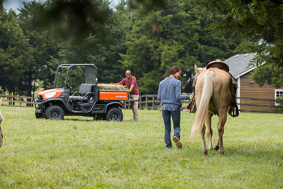 Kubota_RTVX900_CDP2015_0432