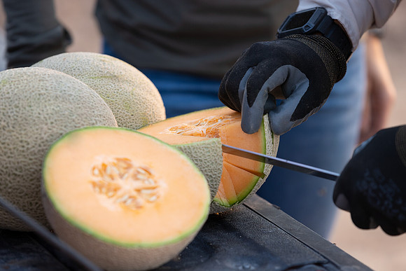 Seminis2021_AZ_1069