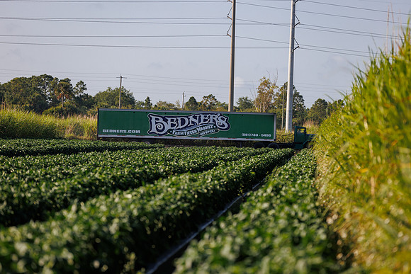 Seminis2022_FL_Bedner_53
