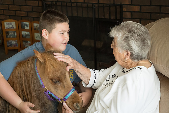 AmericasFarmers_HeartlandMiniHorses_320