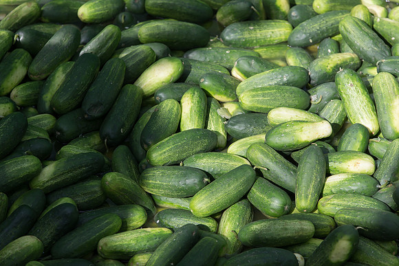 PicklingCucumber_Vlaspik_Processing_MI_0531