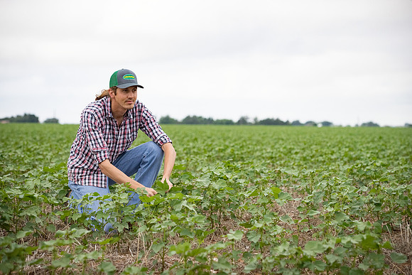 RRXCottonTexas_cdp_5124