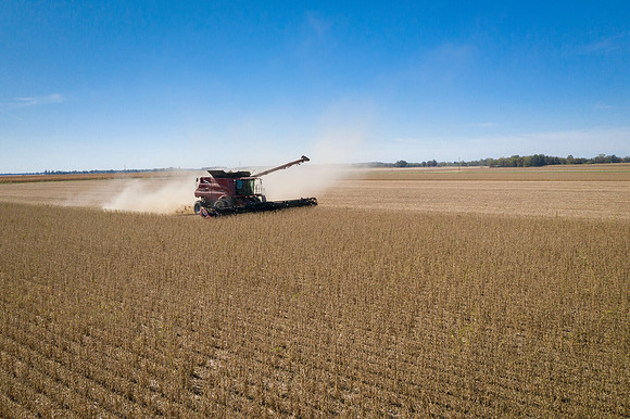 NL_Soybean_Harvest_2019_d_51