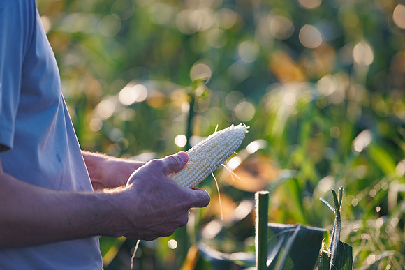 Seminis2022_FL_JEM_264