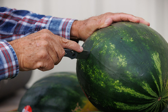 Seminis2022_FL_JEM_3710