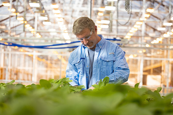 BCS_NA_StL_7107
