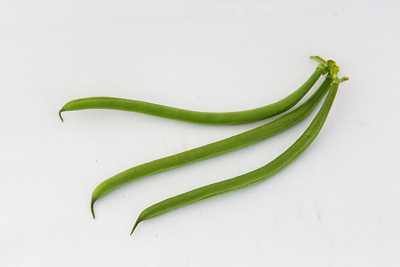 GreenBean_Giolli_MX_Group_0009