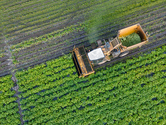 Seminis2022_FL_JEM_3779