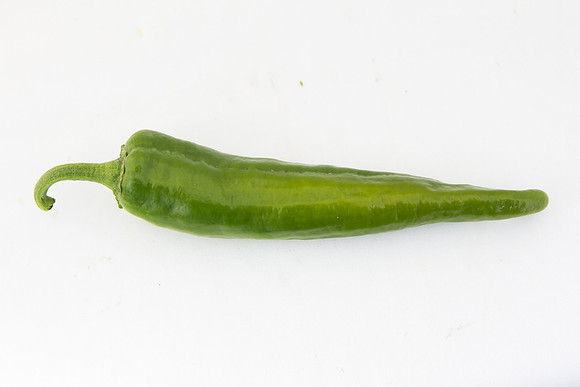 HotPepper_Sahuaro_MX_0002