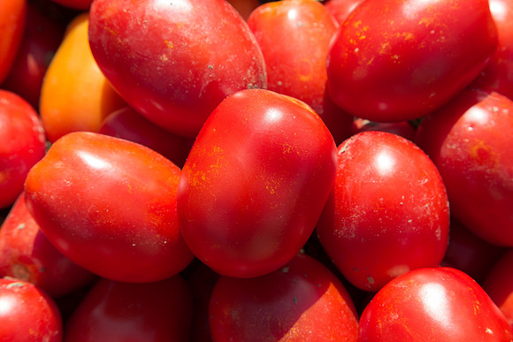 Tomato_SV2493TM_CA_00006