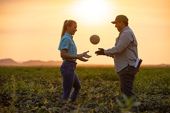 Seminis2021_AZ_626