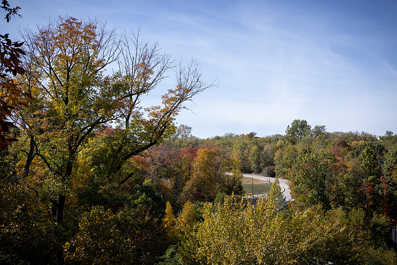 BCS_NA_StL_5794