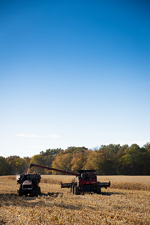 NL_Corn_Harvest_2019_c_97