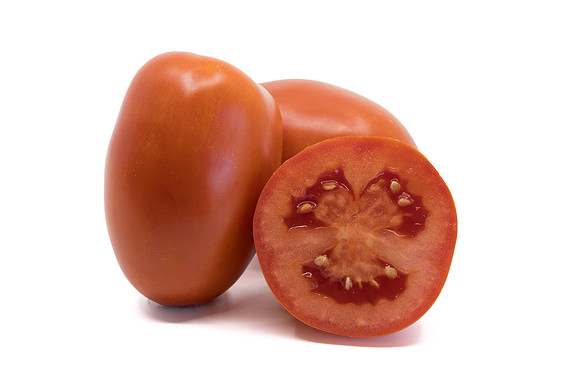 Tomato_N6459_19
