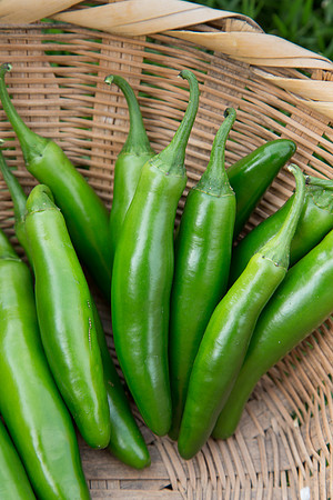 HotPepper_DonVincente_MX_0023
