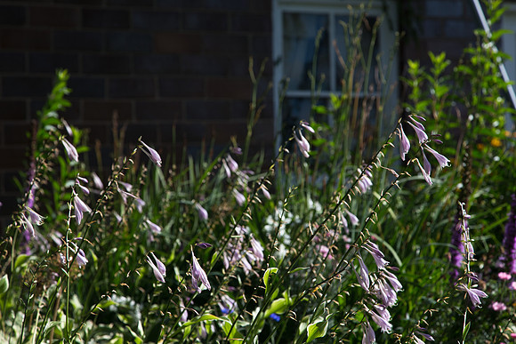 TinaHinchley_011