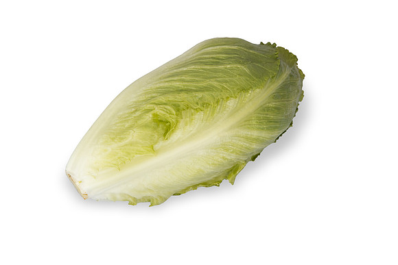 Lettuce_SV2988LG_CA_0102