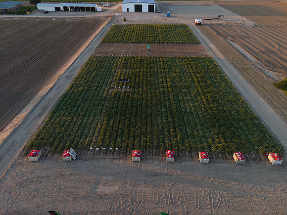 Seminis2022_Idaho_7