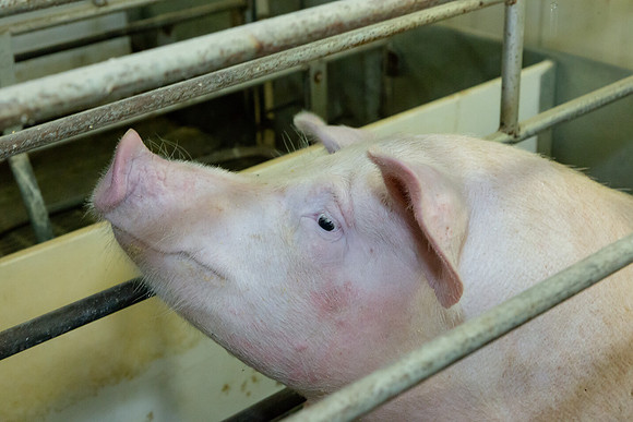 KristenNickerson_0055