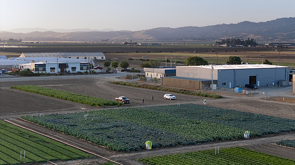 Seminis_SJB_FieldDay2025_18