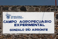 Campo_Agropecaurio_MX_0007