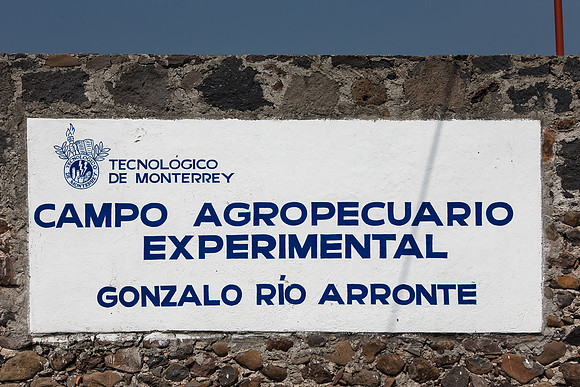Campo_Agropecaurio_MX_0007