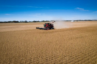 NL_Soybean_Harvest_2019_d_37