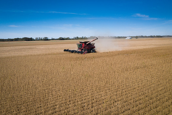 NL_Soybean_Harvest_2019_d_37