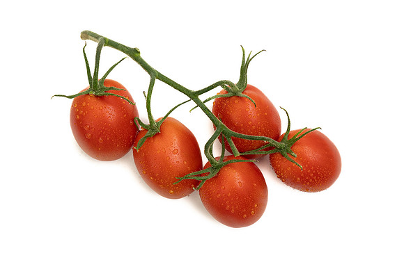 Tomatoes_DRTH4093_25