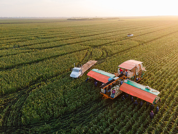 Seminis2022_FL_JEM_1182