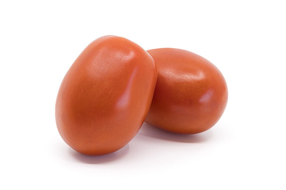 Tomato_N6475_1