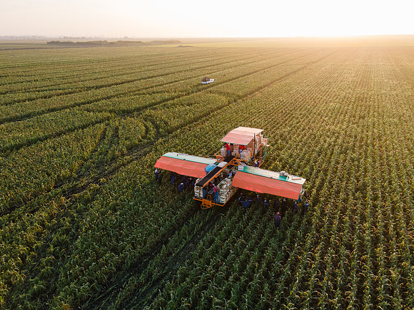 Seminis2022_FL_JEM_1183