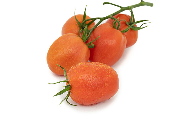 Tomatoes_DRTJ4081_37