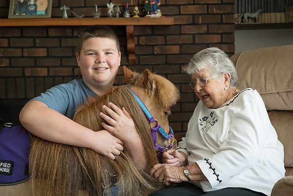 AmericasFarmers_HeartlandMiniHorses_342