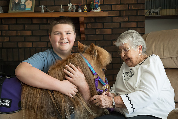 AmericasFarmers_HeartlandMiniHorses_339