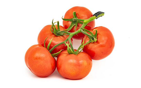 Tomatoes_DRTH1060_38